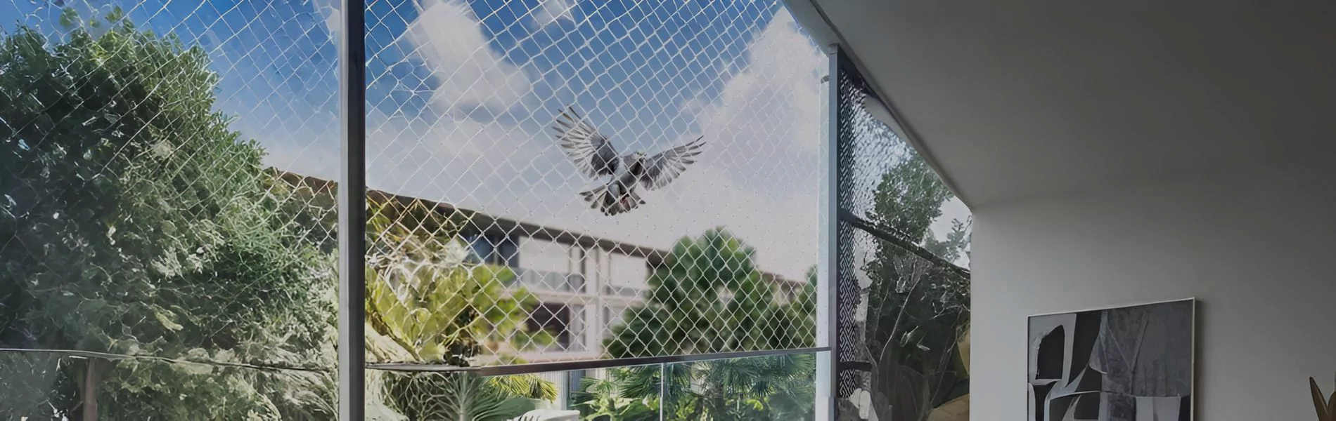 T S Invisible Grills Balcony